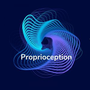 Category image for content related to proprioception