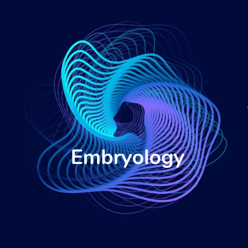 Category image for content related to embryology
