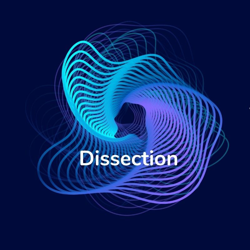 Category image for content related to dissection