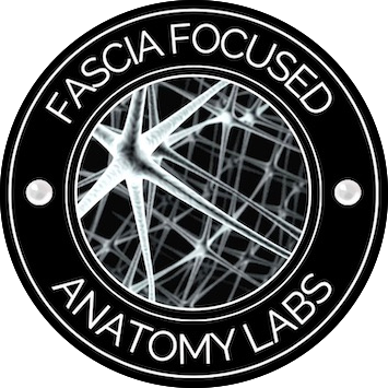 CORRECT LOGO FOR FASCIA FOCUSED - JIHAN ADEM