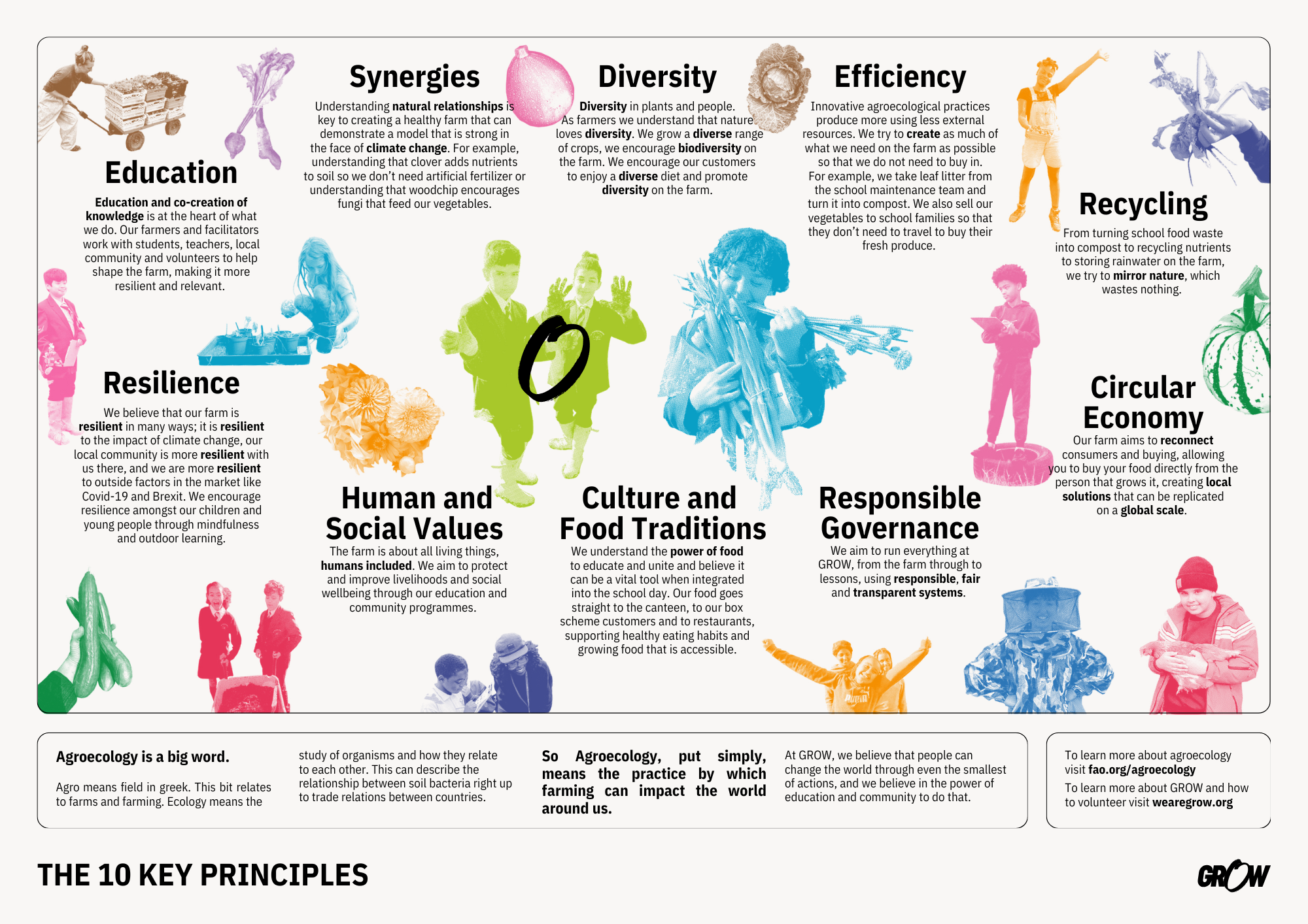 AGROECOLOGY GRAPHIC.pdf