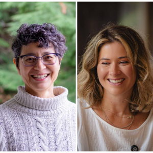 Jan's website image template