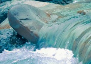 Photo by Leo Rivas on Unsplash